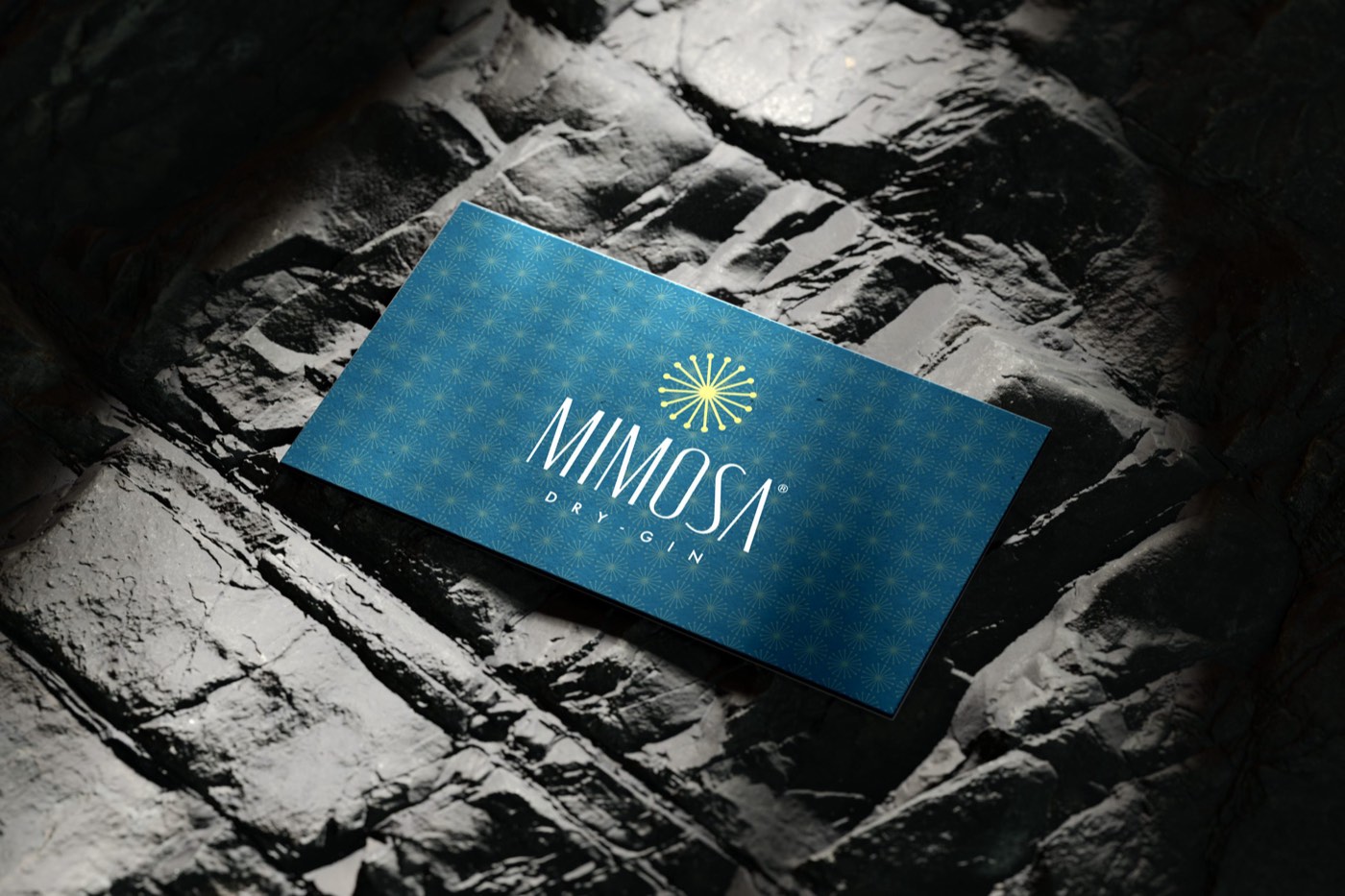 Astuccio Mimosa blu con il motivo a raggiera, appoggiato sulla roccia