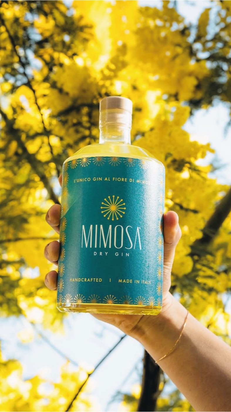 La bottiglia di Mimosa tenuta in mano davanti a un albero di mimosa in fiore