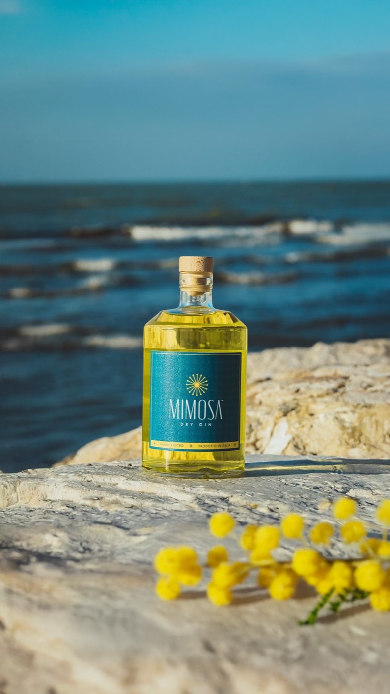 La bottiglia di Mimosa su uno scoglio, con i fiori gialli sul davanti